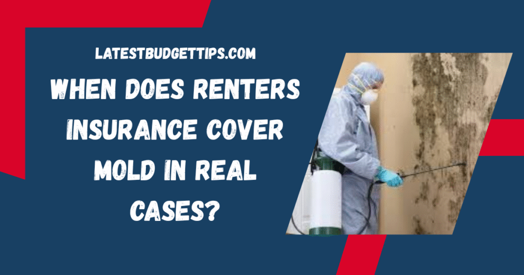 Renters Insurance Cover Mold