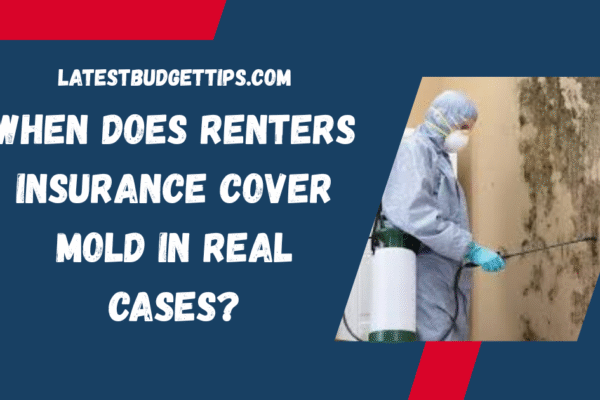 Renters Insurance Cover Mold